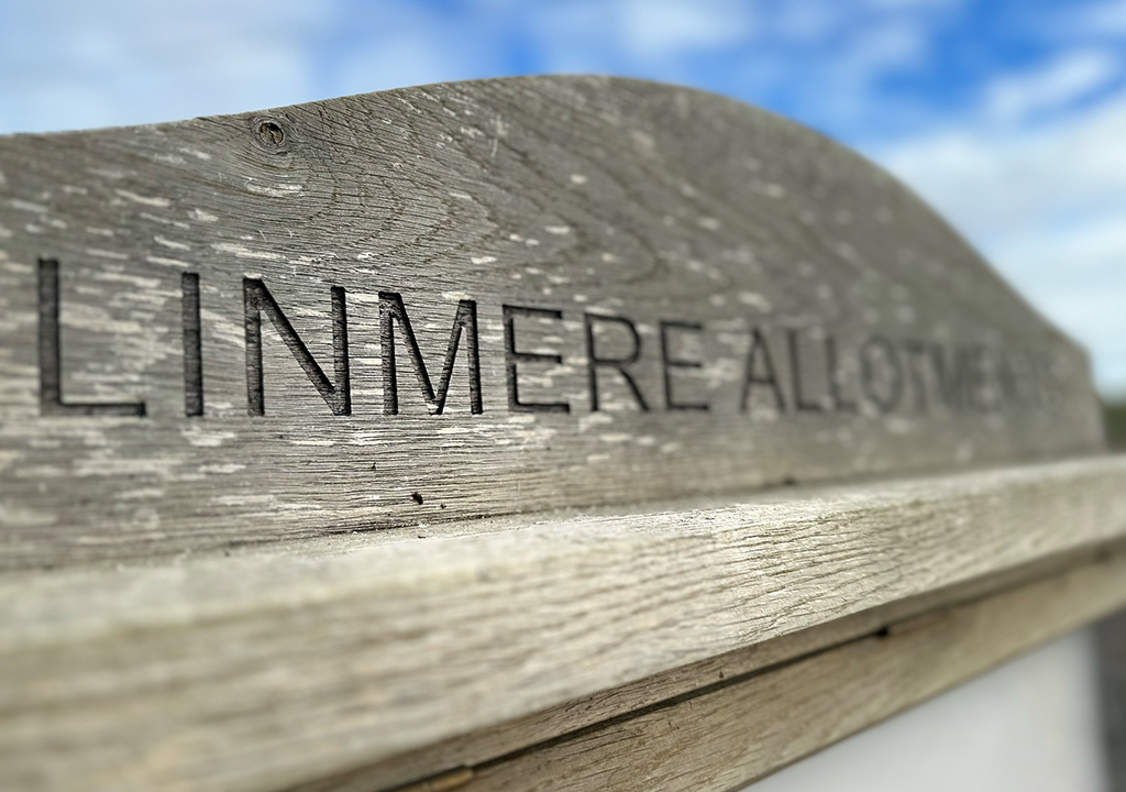 Linmere_Allotments_Header_Board